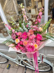 Send Fresh Flowers | Vivid Pink