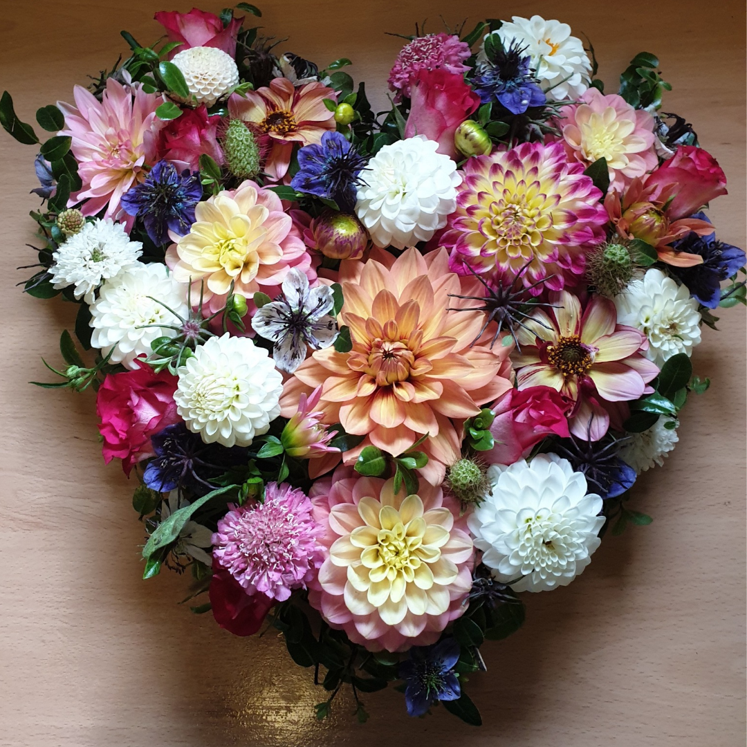 Petals by the shore wsm | Weston Super Mare | Home