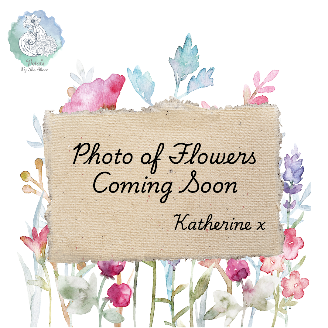 Petals by the shore wsm | Weston Super Mare | About Me