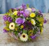 Petals by the shore wsm | Weston Super Mare | Home