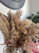 Add something extra | Upsell gifts | Pampas