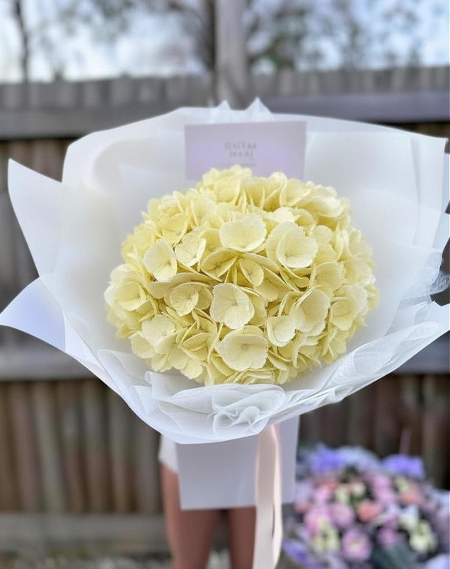 Bouquets | Hydrangea Cloud