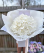 Bouquets | Hydrangea Cloud
