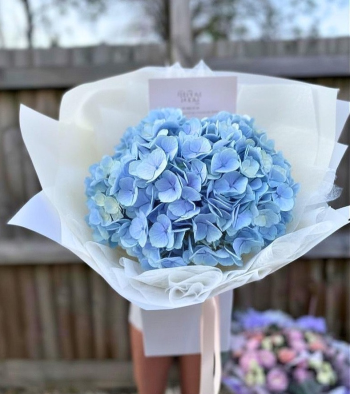 Bouquets | Hydrangea Cloud All UK POSTCODES