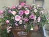 Sarah's Bunches | Twickenham | Funeral