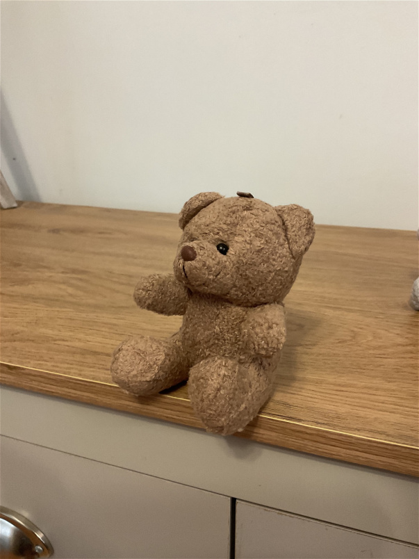 Arrangements | Gifts | Teddy bears