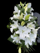 Funeral Tributes | Classic lily spray