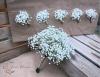 Lunar Blooms | Weddings