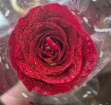 Valentines | Single Glitter Rose