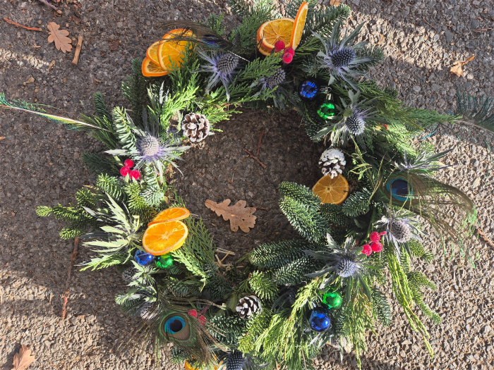 Christmas | Peacock Passion