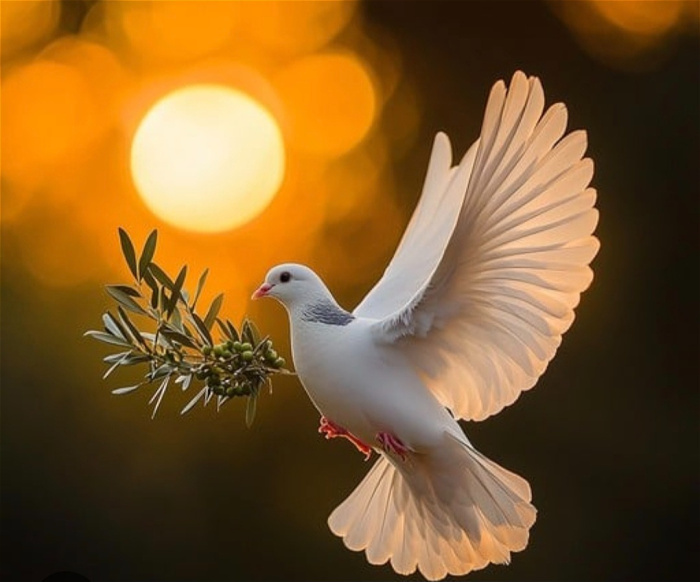 Bespoke Funeral Tributes | Funeral Arrangements  | Religious Funeral Tributes | 1-1 Funeral Arrangement Consultation