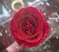 Valentines | Single Red Rose