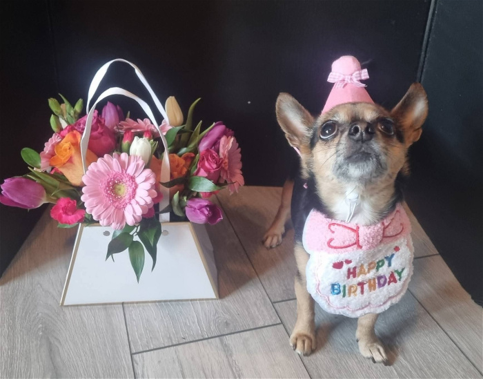 Handbags, Hat Boxes & Envelopes | Mother's Day | Unique Seasonal Arrangements  | The Bloom Bag