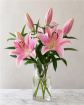 No Fuss Bunches | Lillies