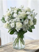 All Occasions | Fresh Bouquet | Vanilla White