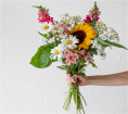 All Occasions | Florist Choice | Florist Choice