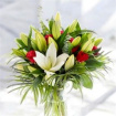 All Occasions | Bouquet in a Box | Lily Kissed Love