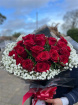 All Occasions | Valentine Flowers | Rose & Cloud