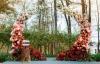 Floral Fusion Shed                                                         | Colchester | Weddings