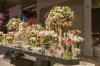 Floral Fusion Shed                                                         | Colchester | About Us