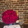 Floral Fusion Shed                                                         | Colchester | About Us