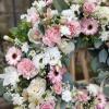 Floral Fusion Shed                                                         | Colchester | About Us