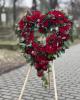 Floral Fusion Shed                                                         | Colchester | About Us