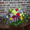 Anniversary | Birthday | Bouquets | Business/Corporate | Congratulations | Exclusive Design Bouquet | Flowers for Him | Get Well | Just Because | New Baby | Romance | Sympathy | Thank You | Thinking of You | Veronika