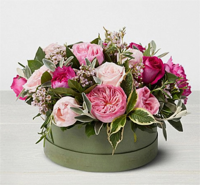 Anniversary | Arrangements | Birthday | Business/Corporate | Congratulations | Exclusive Design Bouquet | Flowers for Him | Get Well | Just Because | New Baby | Romance | Sympathy | Thank You | Thinking of You | Hatbox Arrangements