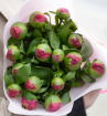Anniversary | Birthday | Bouquets | Business/Corporate | Congratulations | Flowers for Him | Get Well | Just Because | New Baby | Romance | Thank You | Thinking of You | Pamela's Peonies