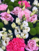 Bouquets | Valentine's Flowers | Vibrant Pink & Green Mixed Meadow Bouquet