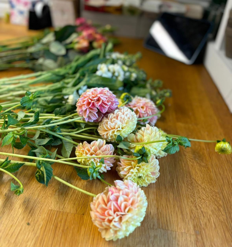 Ey Up Petal | Get to know Ey Up Petal