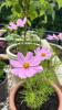 Ey Up Petal | Get to know Ey Up Petal