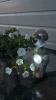 Ey Up Petal | Get to know Ey Up Petal