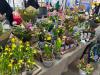 Ey Up Petal | Get to know Ey Up Petal