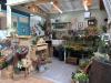 Ey Up Petal | Home