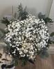 Ey Up Petal | Weddings