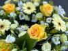 Ey Up Petal | Sympathy