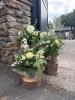 Ey Up Petal | Weddings