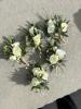 Ey Up Petal | Weddings