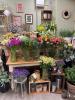 Ey Up Petal | Home