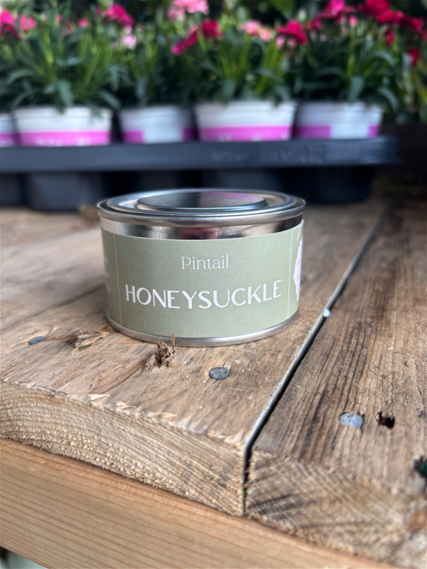 Gifts | Upsell gifts | Pintail Candles