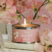 Gifts | Upsell gifts | Pintail candles