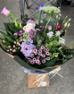 Bouquets | Lavendula