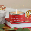 Christmas | Gifts | Christmas Pintail Candles