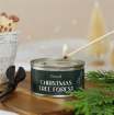 Christmas | Gifts | Christmas Pintail Candles