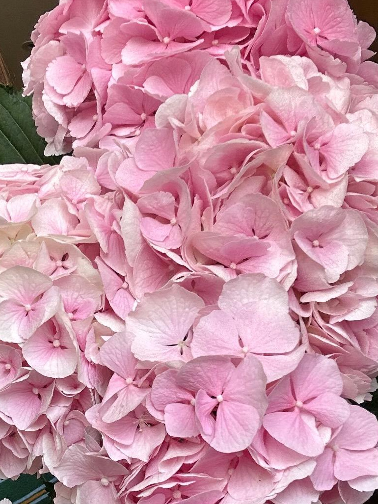 Forever And A Day Designs  | Crawley | Home