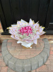 Premium Bouquets | Rose and Gyp Bouquet
