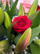 Premium Bouquets | Lily & Rose Bouquet