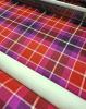 The Tartan Rose | Tartan Roses